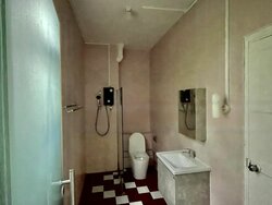 Botanic Gardens Mansion (D10), Apartment #464987071